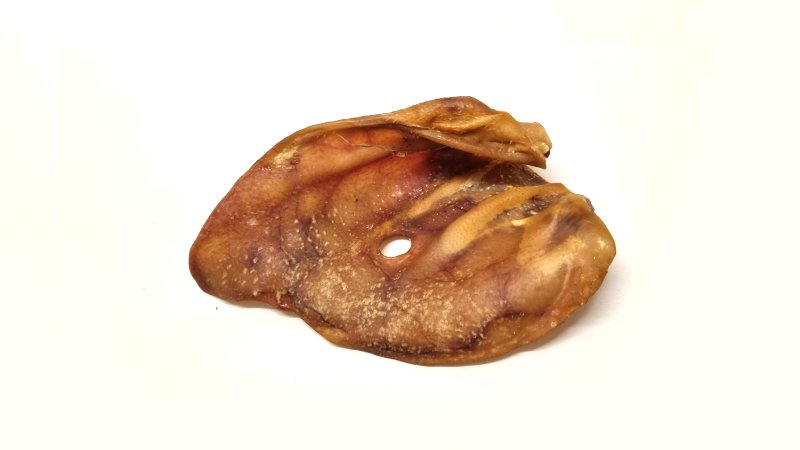 Pigs Ear